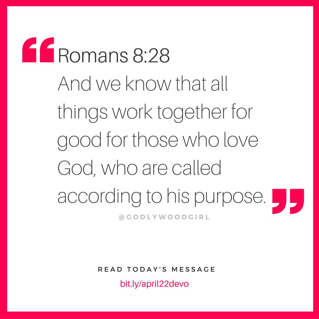 Today's Daily Devotional for Women - 4 Stages of Success
