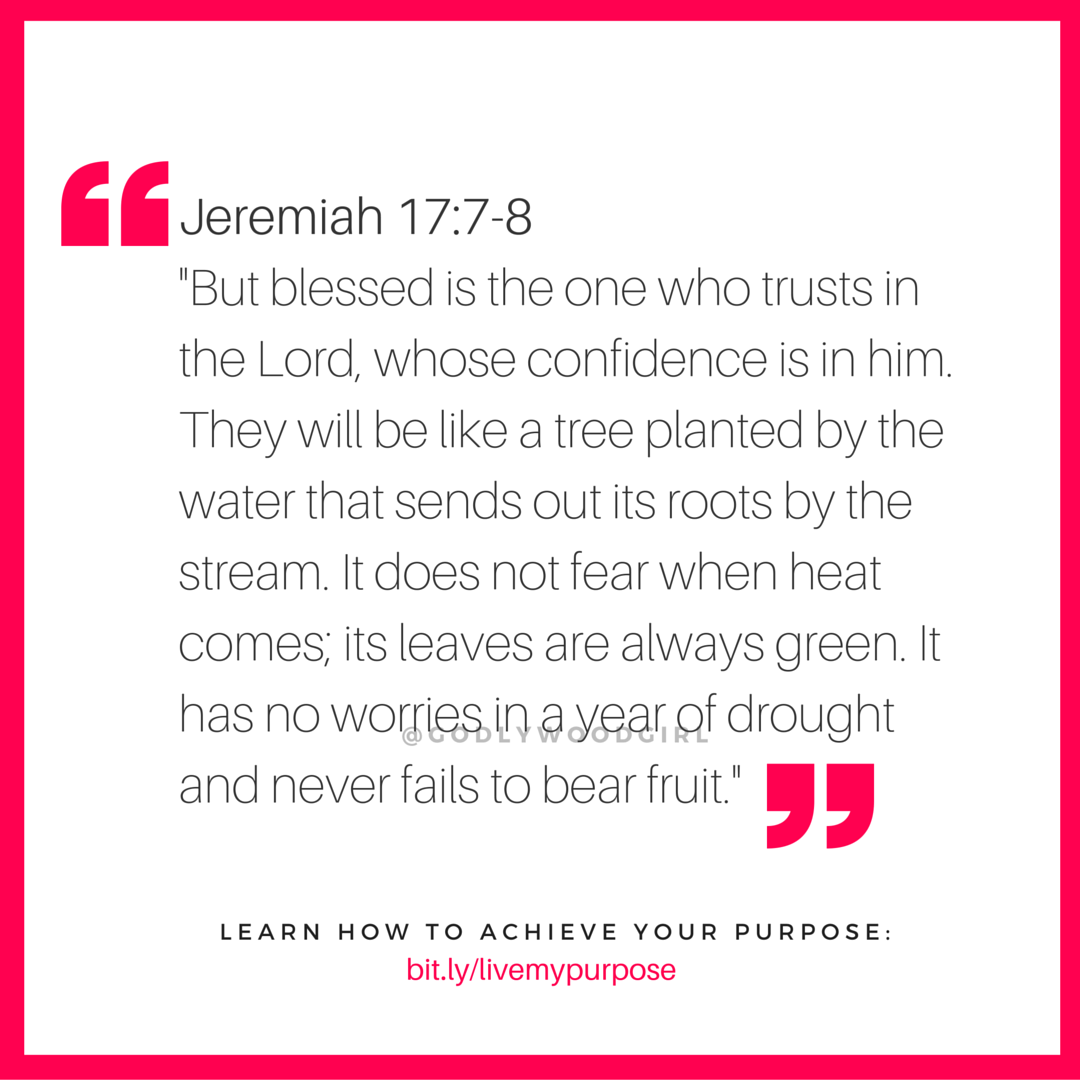 Today's Daily Devotional for Women - You are BLESSED