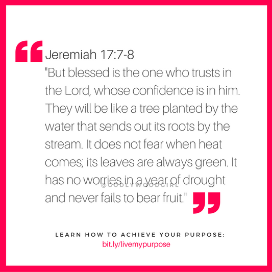 Today's Daily Devotional for Women - You are BLESSED